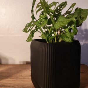 Pot de fleur carré