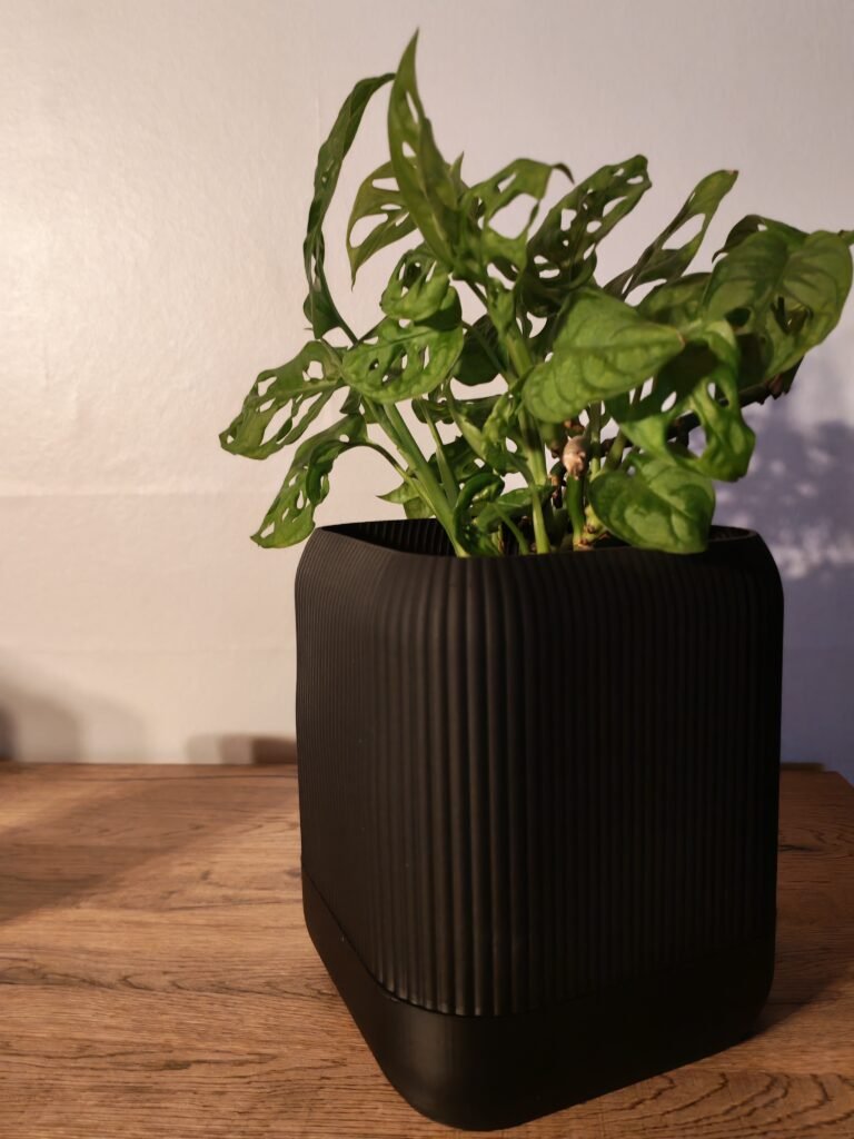 Pot de fleur carré